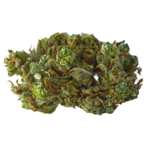 Frozen Grapes Strain Review & Info