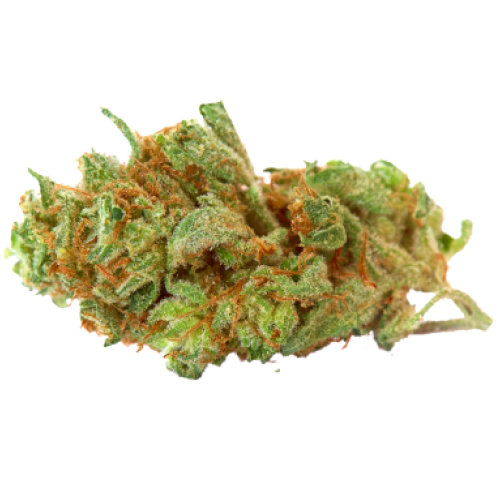 CBD Kush Seeds for sale