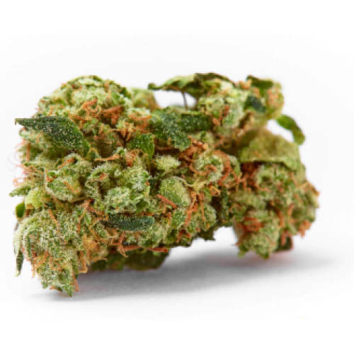 Critical Kush Seeds for sale