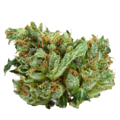 Super Skunk Seeds for sale