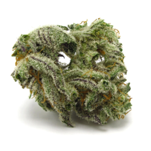 Blueberry Kush Seeds for sale