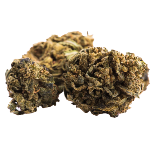 Hindu Kush Seeds for sale