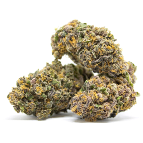 L.A. Confidential Seeds for sale