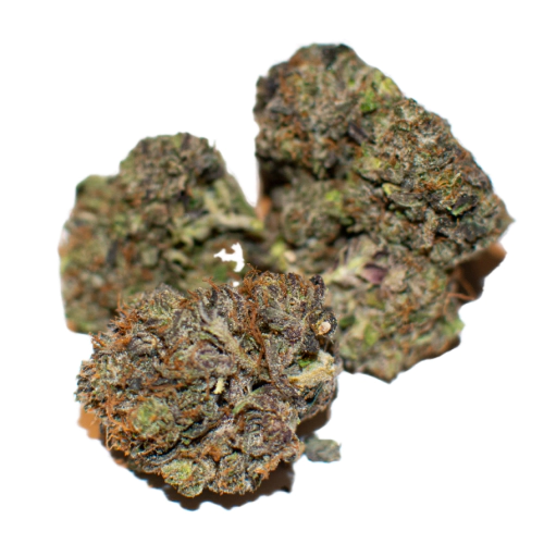 Black Congolese strain photo 1