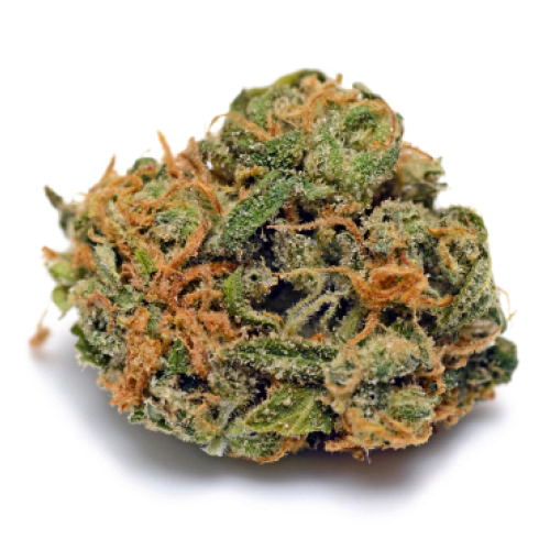 Tropic Thunder strain photo 1