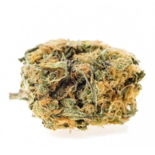 Amnesia Kush Seeds for sale