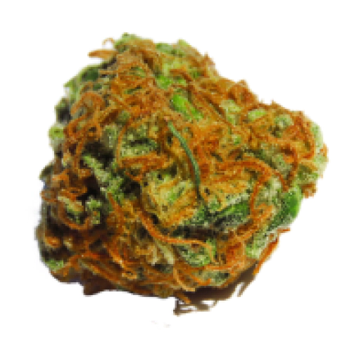 Dr. Grinspoon strain photo 1