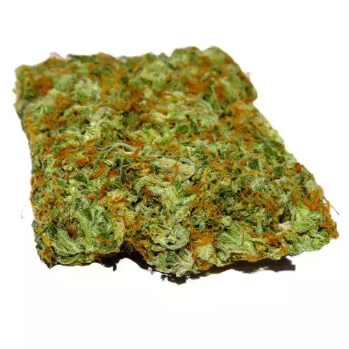 Jack Herer Seeds for sale