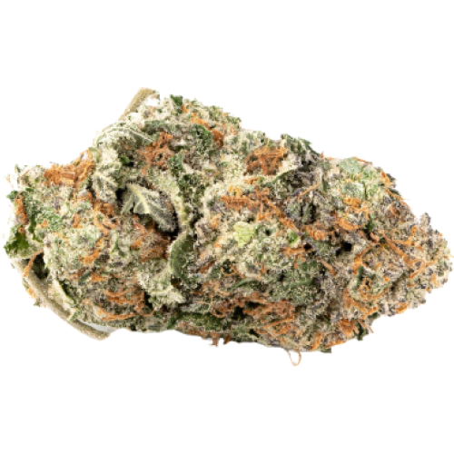 Ak 47 Seeds for sale