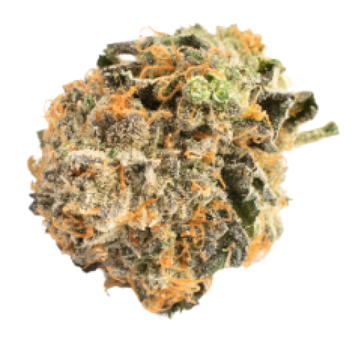 Trainwreck Seeds for sale