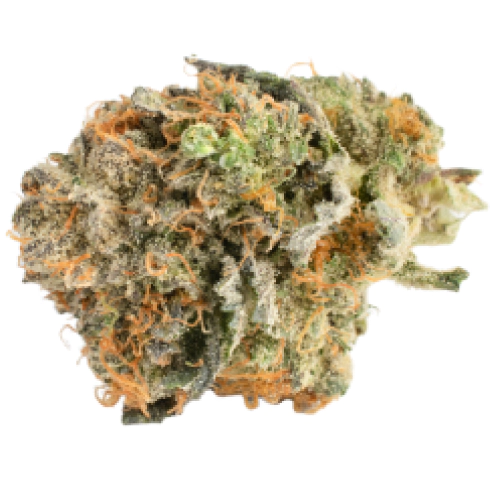 Mandarin Jack strain photo 1