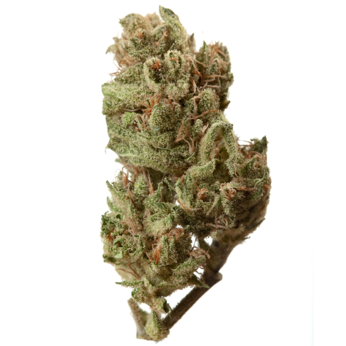 Strawberry Cough Seeds for sale