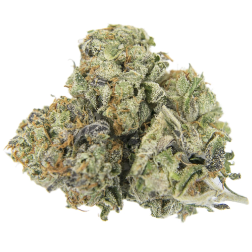 sativa-dominant-hybrid_448399723.webp