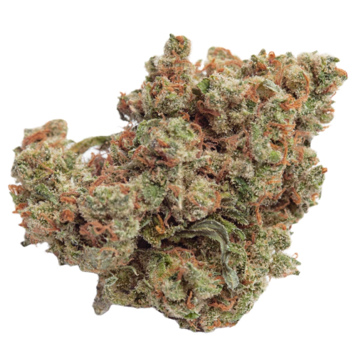 Acapulco Gold Seeds for sale