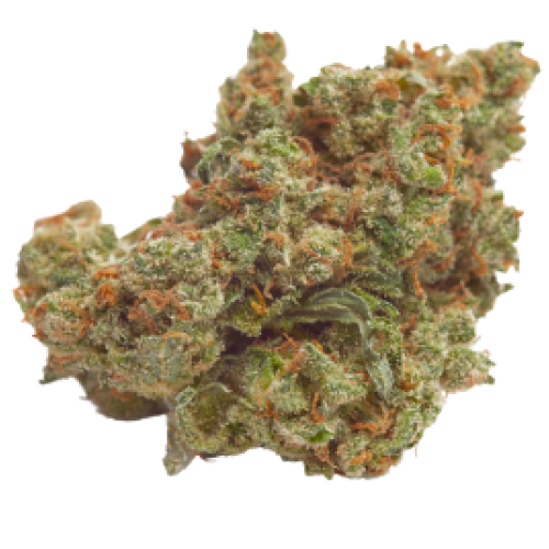 Tropicana Cookies Seeds for sale