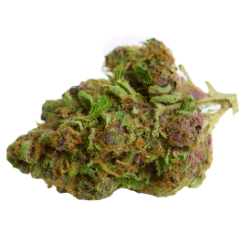 Durban Poison Seeds for sale