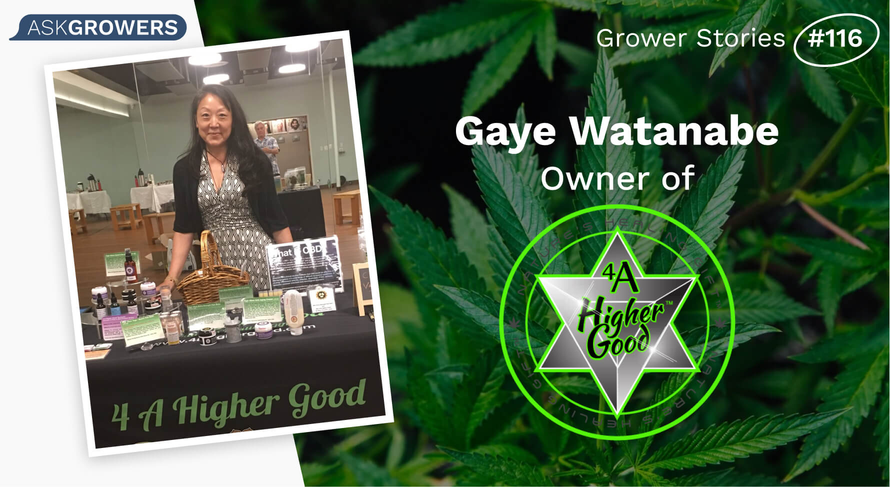 Grower Stories #116: Gaye Watanabe