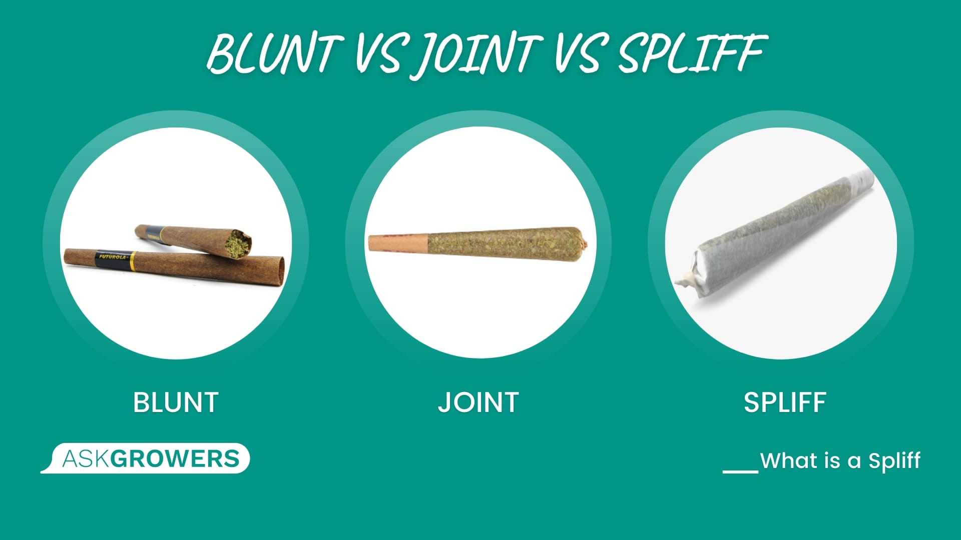 Blunt Vs Joint Vs Spliff