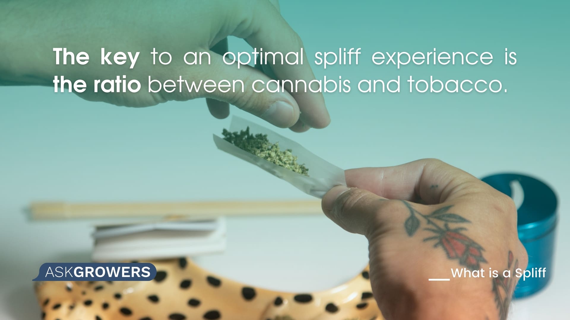 how to roll a spliff
