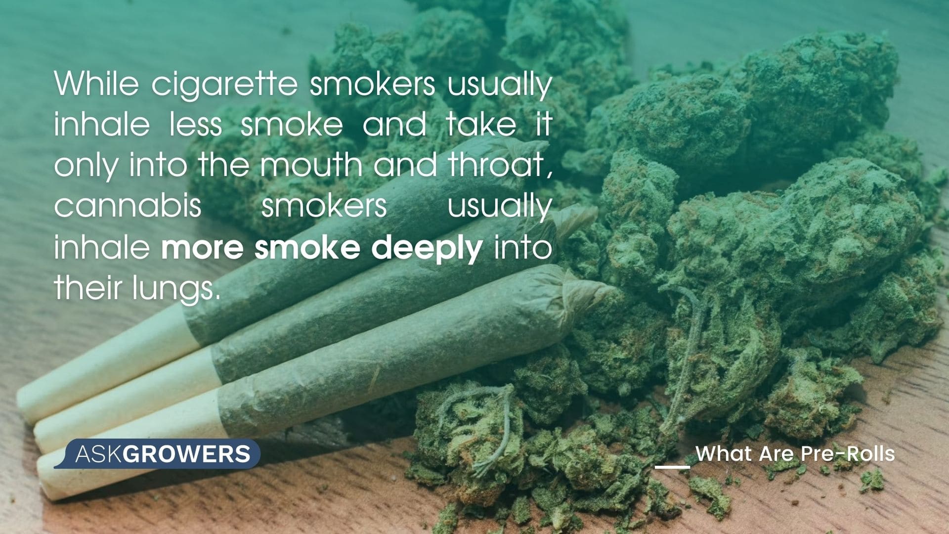 Is Smoking Cannabis Pre-Rolls Dangerous