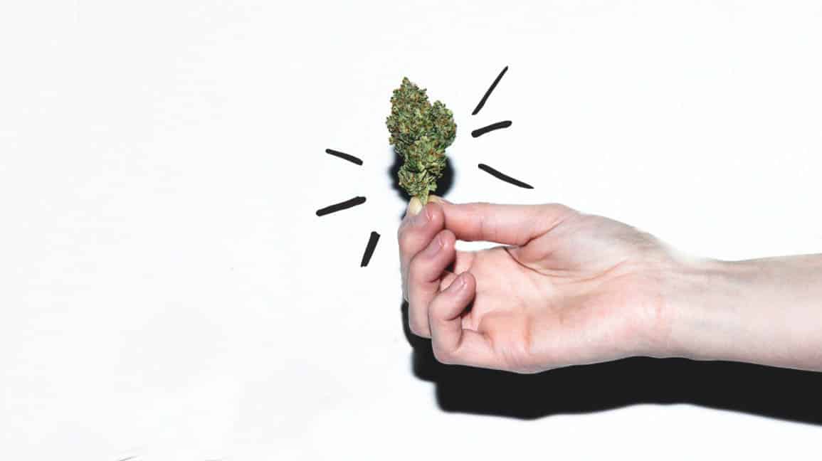 Marijuana_strains image