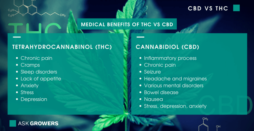 Medical benefits of THC vs CBD