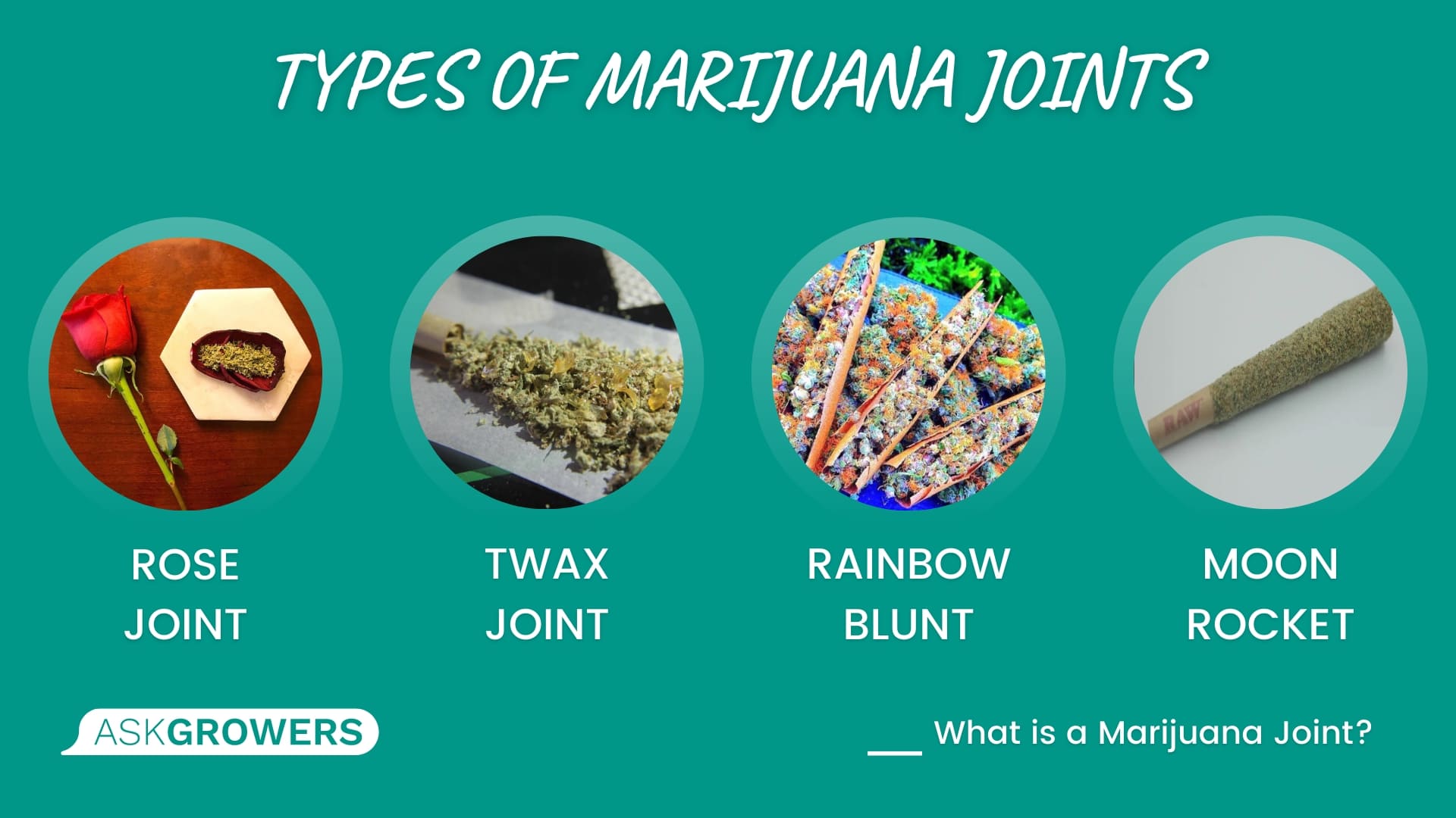 Types of Marijuana Joints
