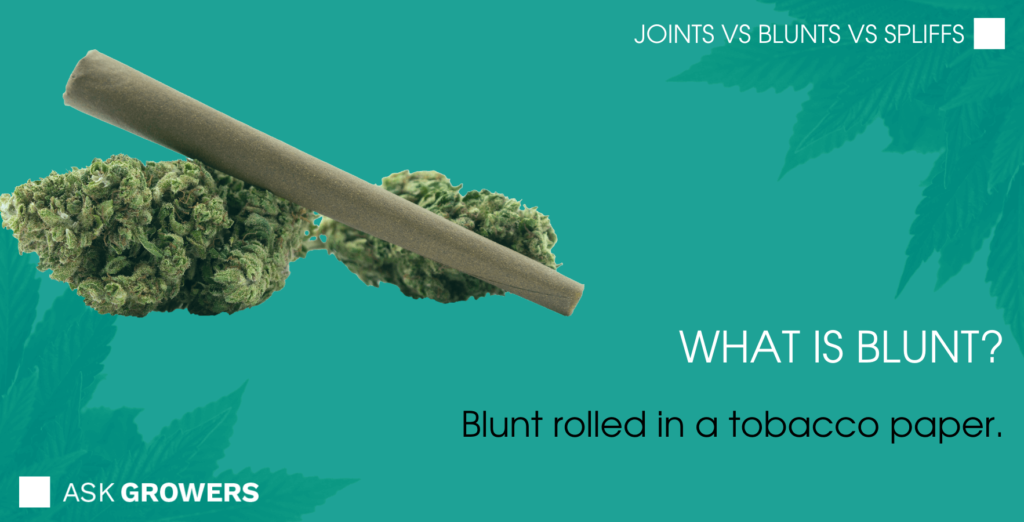 What is Blunt