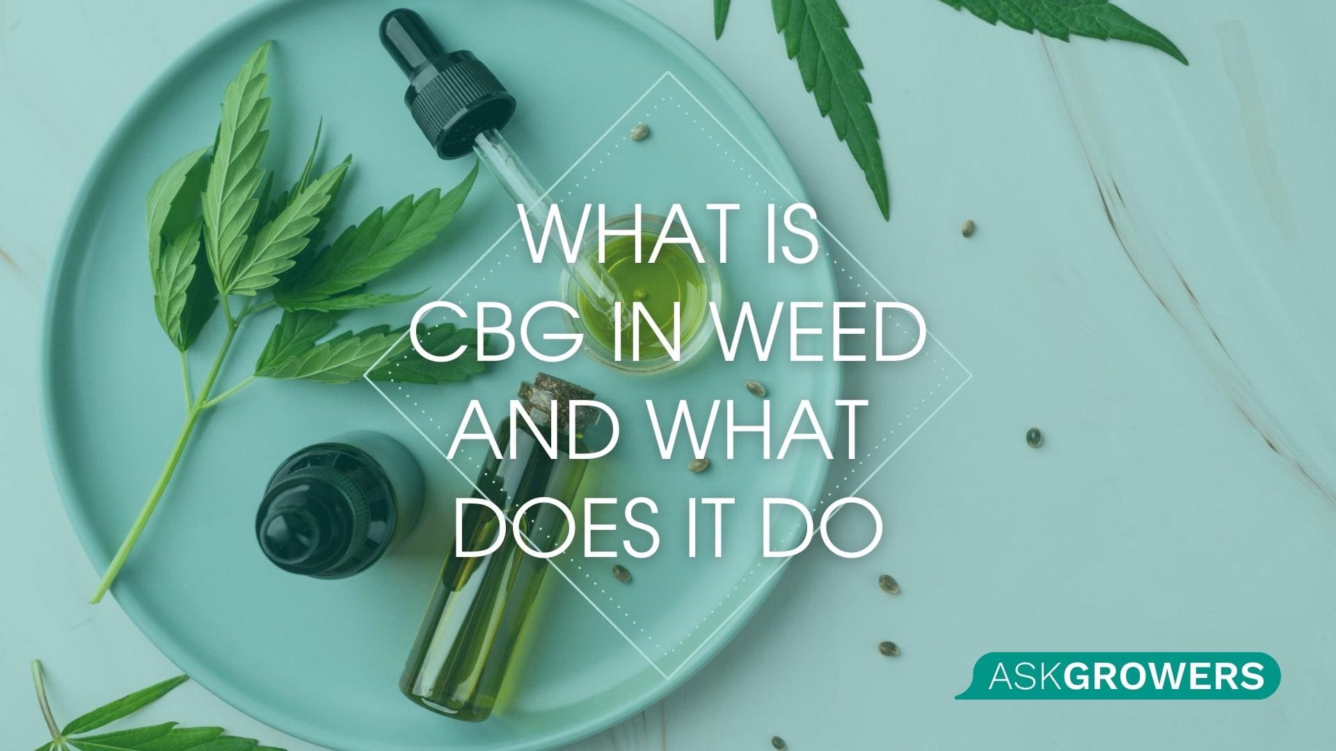 What is CBG in Weed, and What Does It Do?