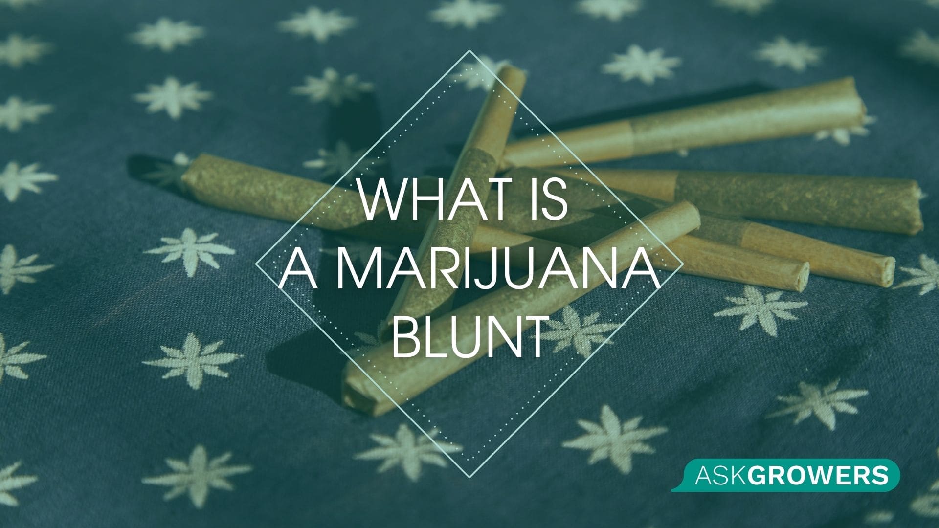 What is a Marijuana Blunt?