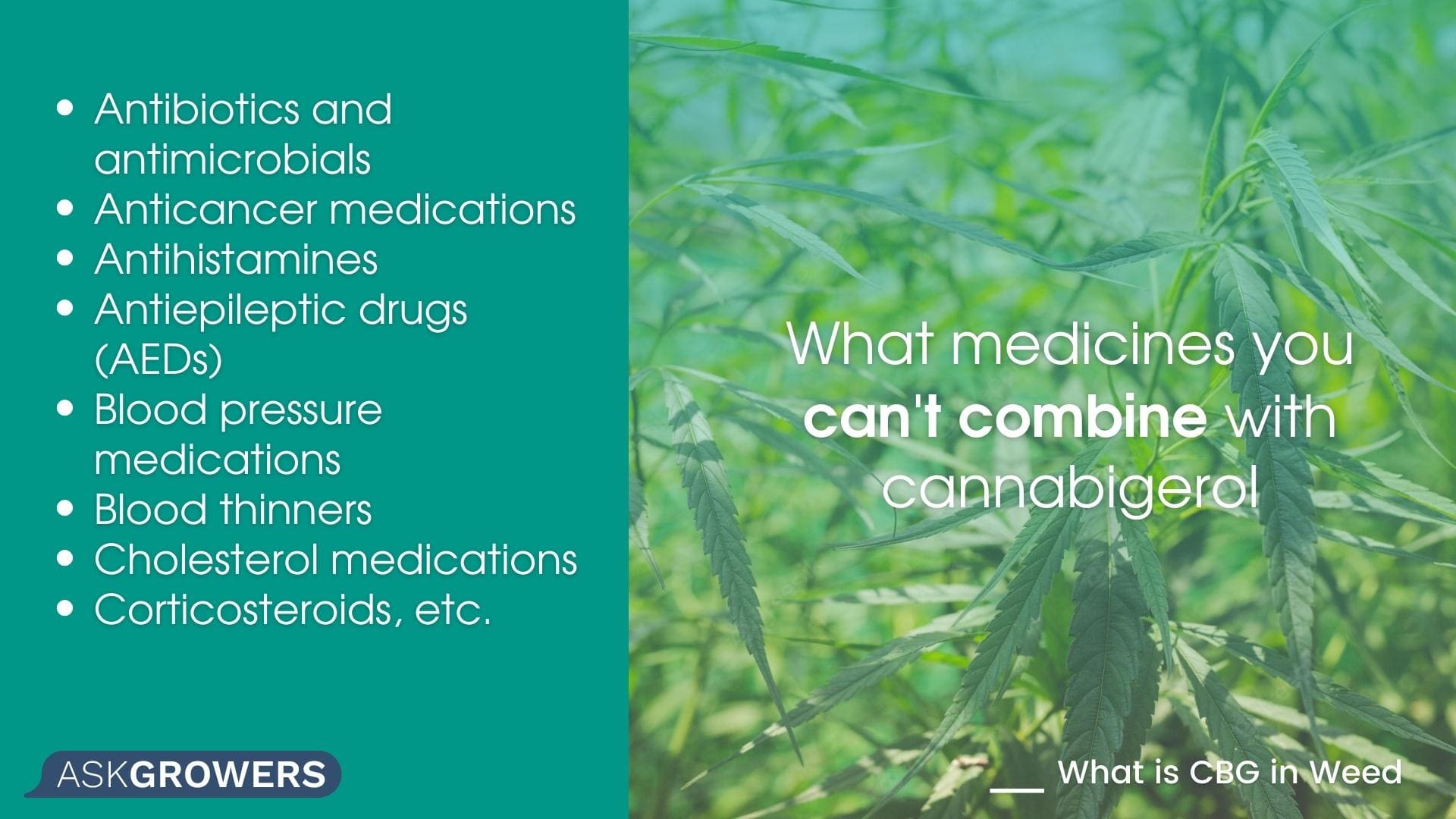 What medicines you can't combine with сannabigerol