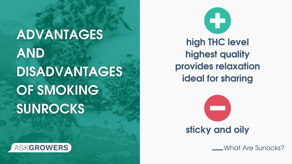 Advantages and Disadvantages of Smoking Sunrocks