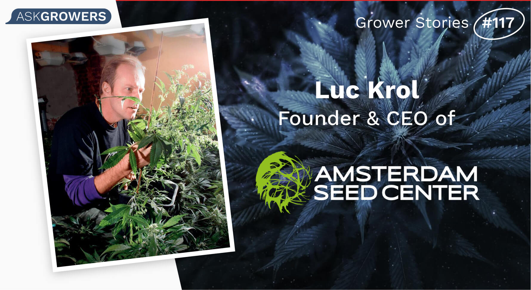 Grower Stories #117: Luc Krol