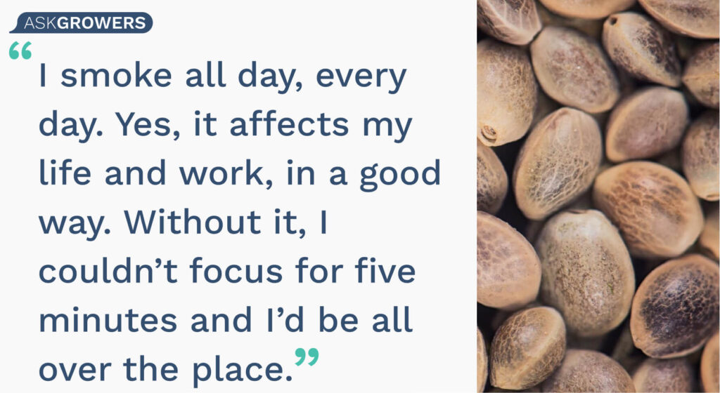 Amsterdam Seed Center Interview quote