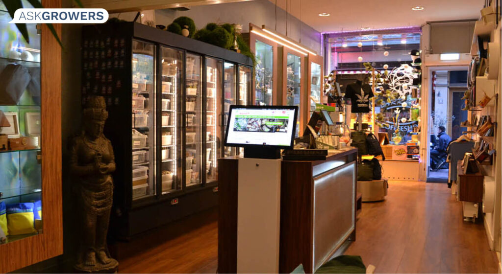 Amsterdam Seed Center store picture