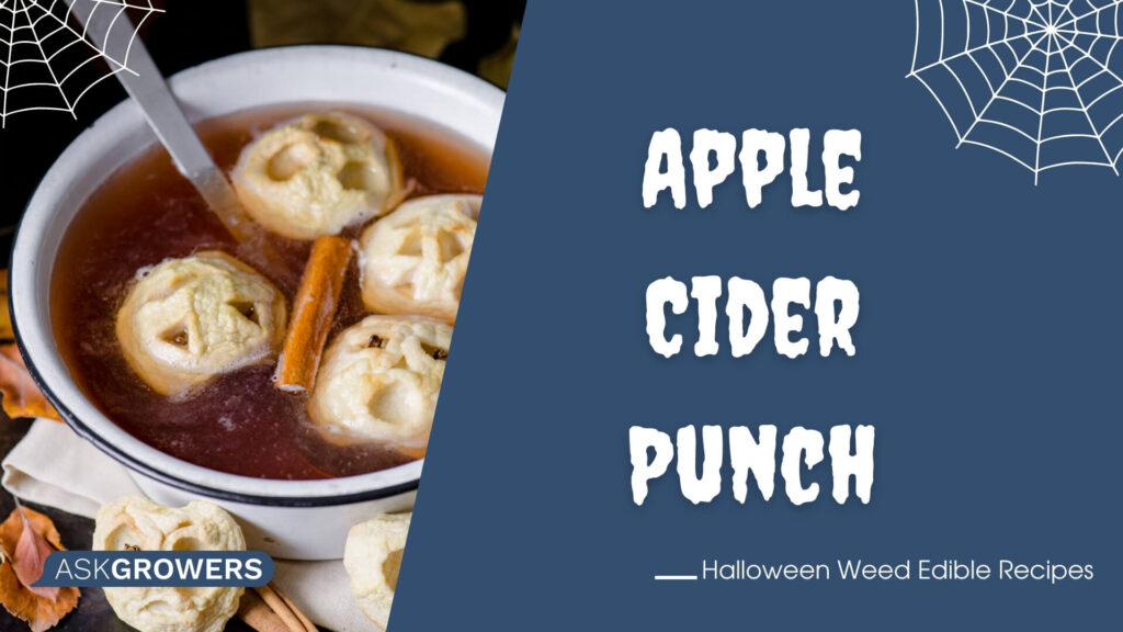 Apple Cider Punch With CBD Simple Syrup
