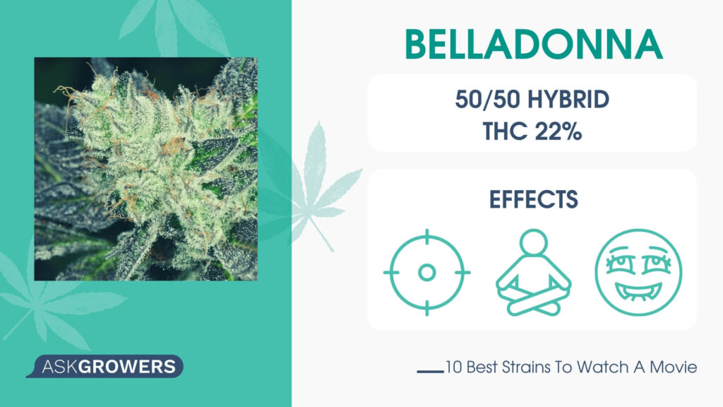 Belladonna Strain