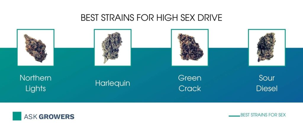 Cannabis Strains and Products for Better Sex List of Best Arousal