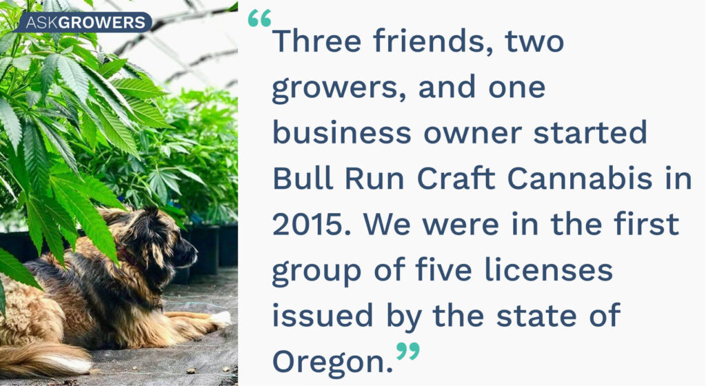 Bull Run Craft Cannabis interview quote
