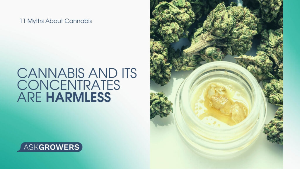 Cannabis and Its Concentrates Are Harmless