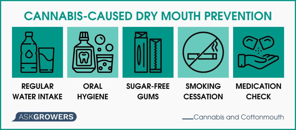 Cannabis-Caused Dry Mouth Prevention