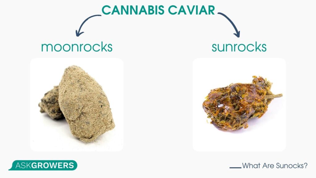 Cannabis Caviar