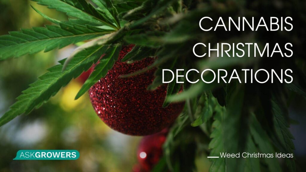 Cannabis Christmas Decorations
