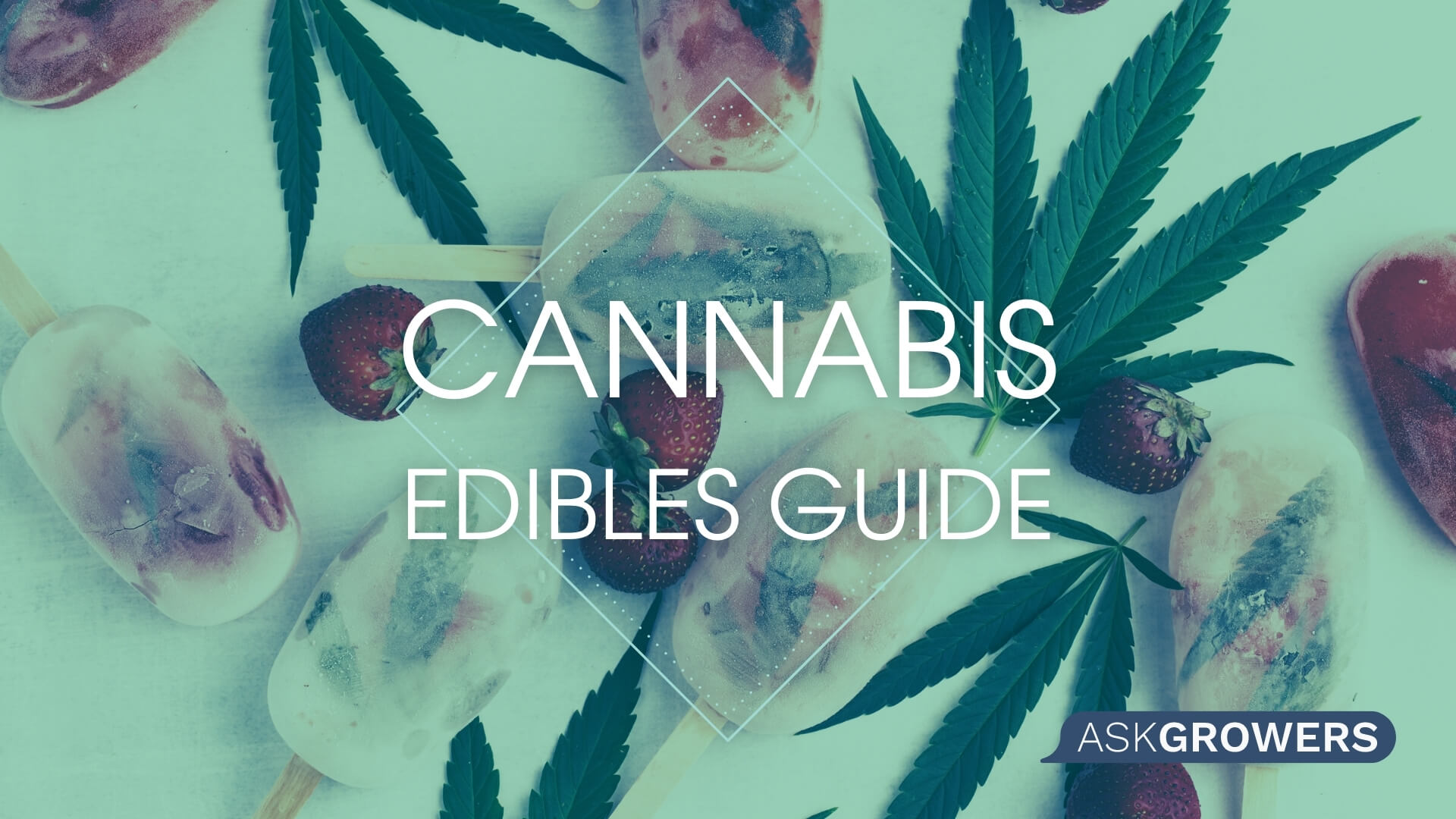 All You Need to Know About Marijuana Edibles: Cooking Tips and How Long Do Edibles Last?