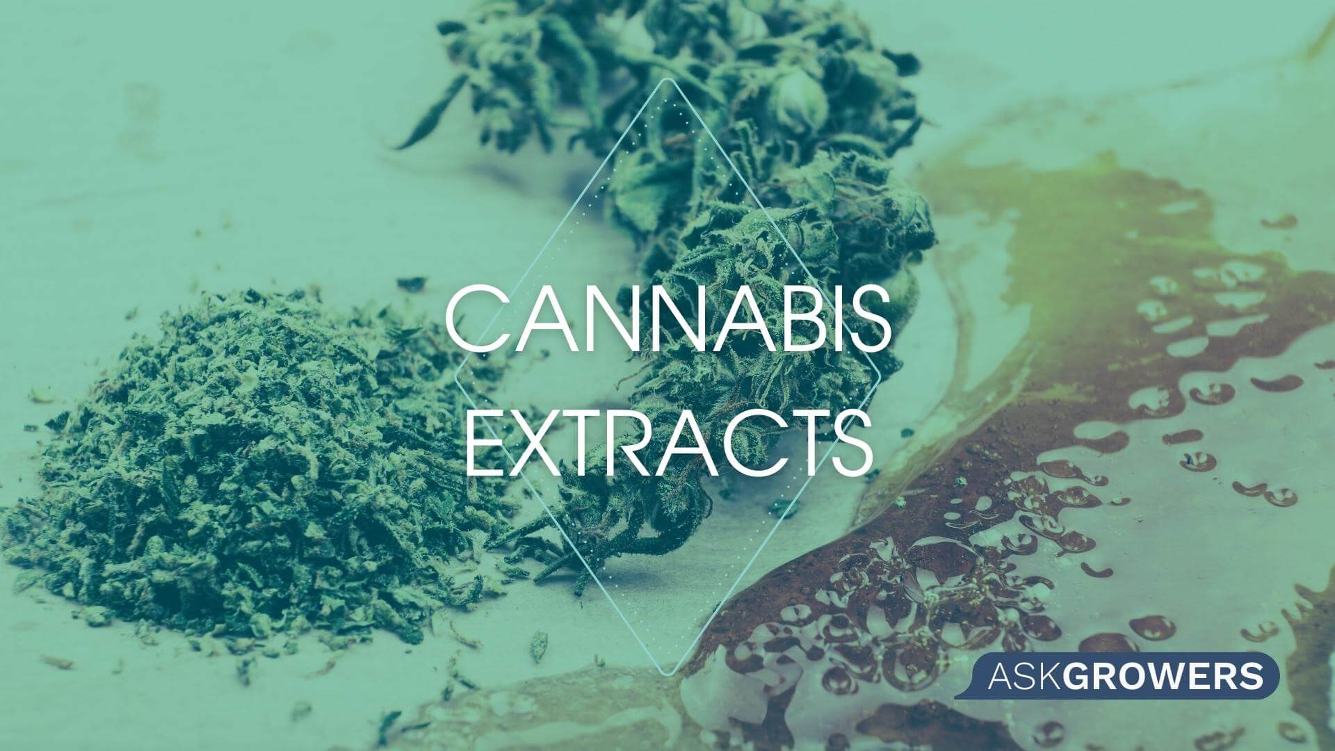 Cannabinoids: The Exciting World of New Cannabis Derivatives