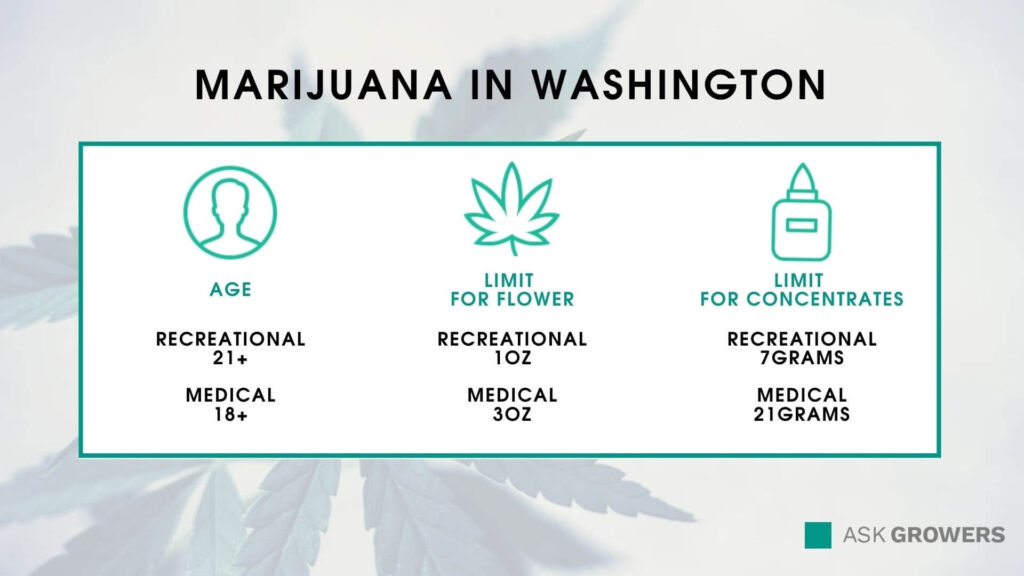 Cannabis in Washington