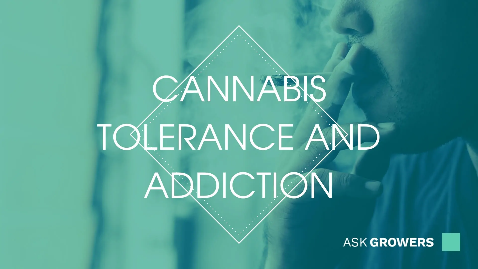 Cannabis Tolerance and Addiction: Understanding the Difference