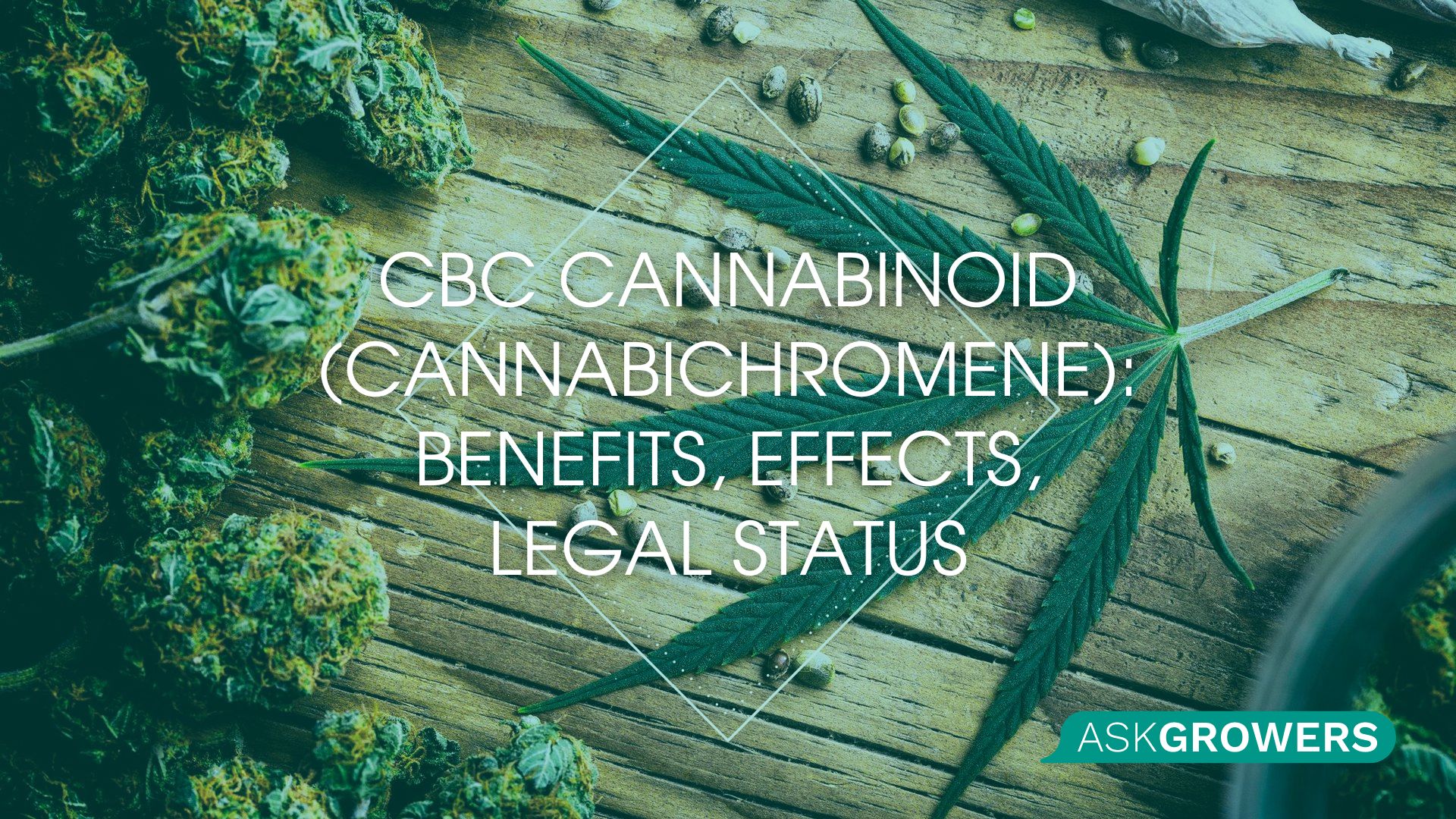 CBC Cannabinoid (Cannabichromene): Benefits, Effects, Legal Status