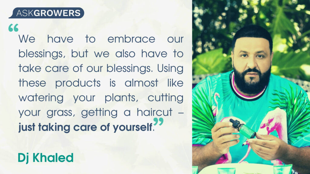 Celebrity Quotes About Their Cannabis Brands: Dj Khaled