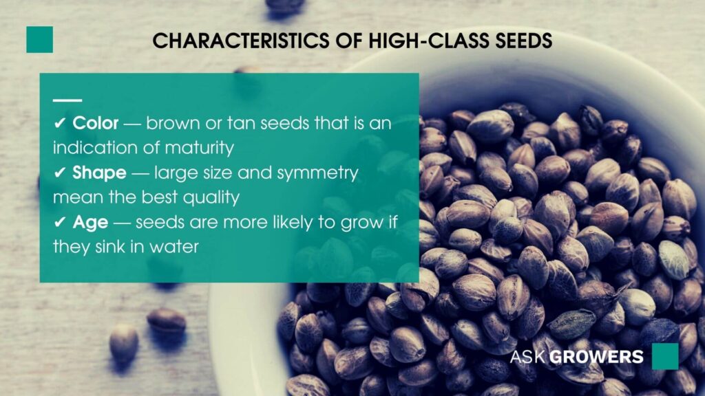 Characteristics of high-class seeds